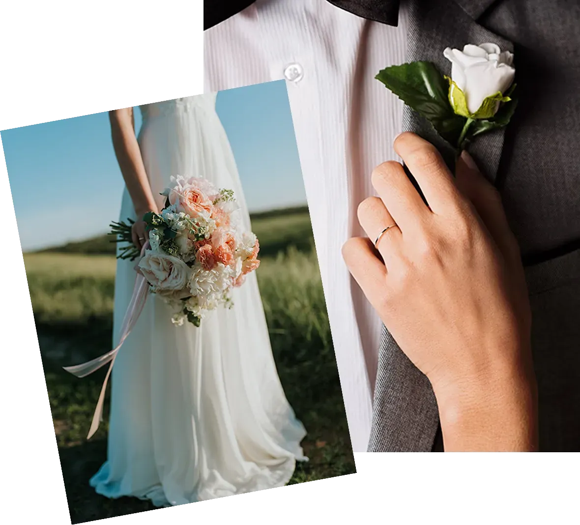 Panduan Memilih Template