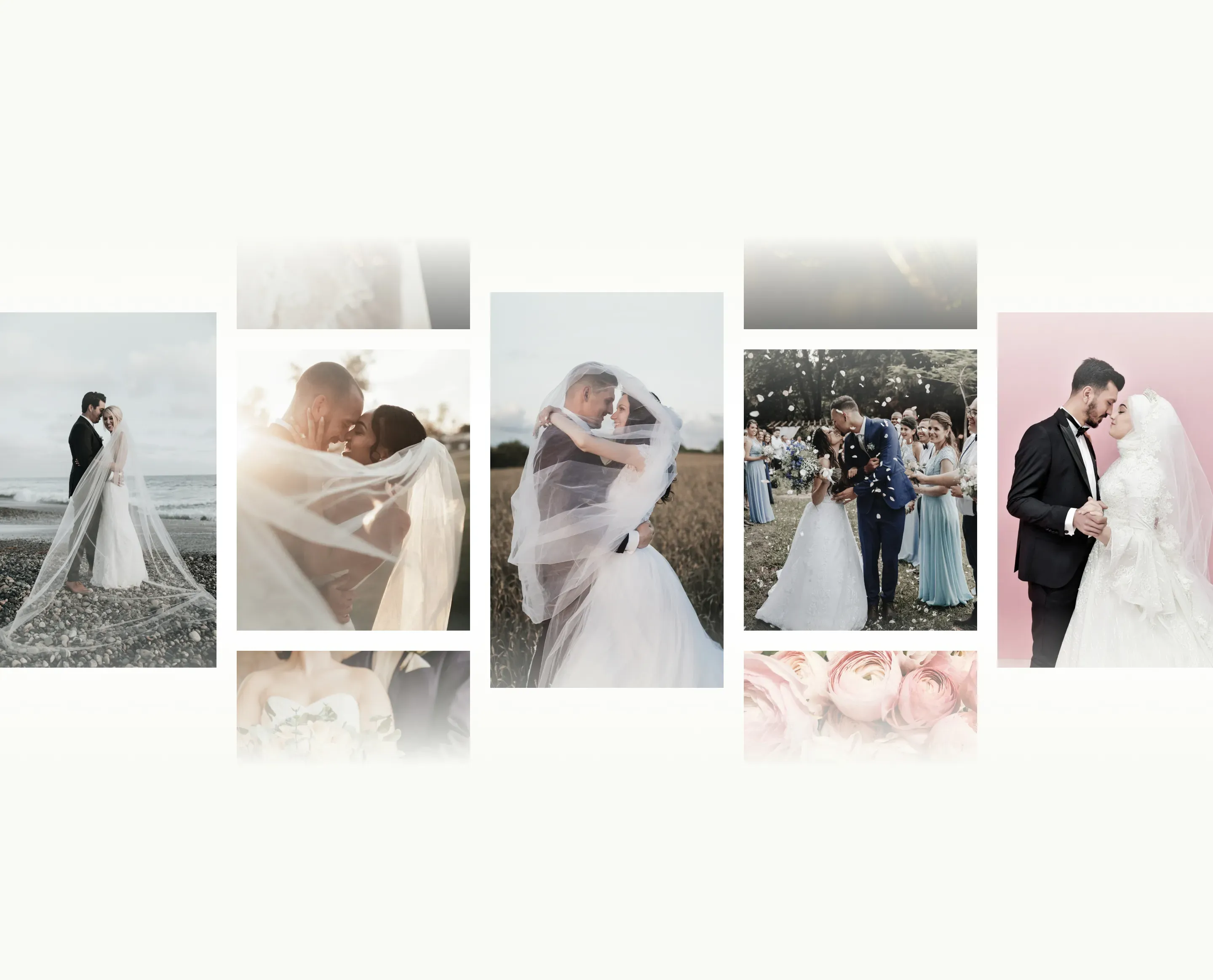 Portofolio Background